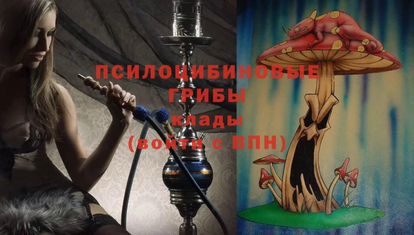 каннабис Арсеньев