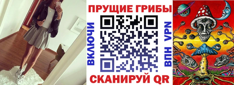 купить  цена  Сосенский  мега tor  Галлюциногенные грибы Psilocybe 