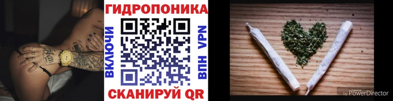 Канабис планчик Сосенский
